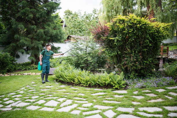 Best Pest Removal Services  in Rodeo, CA