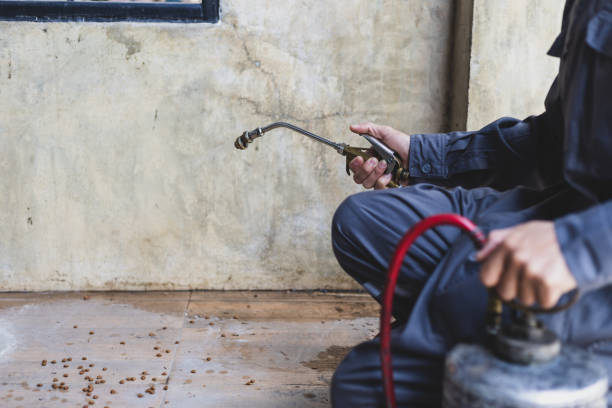 Best Best Pest Control Companies  in Rodeo, CA